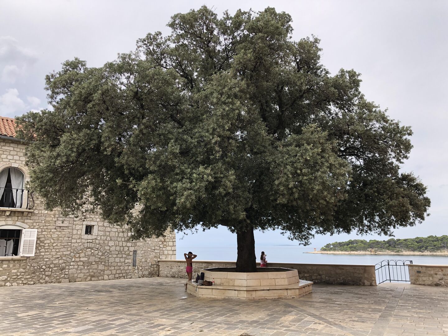 Stari Grad Rab Apartmani Jaklin | Apartmani Rab | Banjol, Otok Rab, Hrvatska